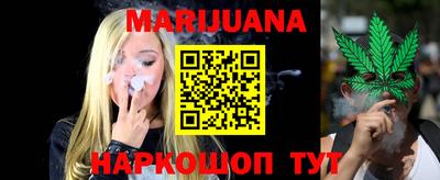 молекула духа Будённовск