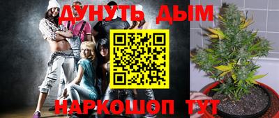 молекула духа Будённовск