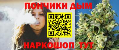 молекула духа Будённовск