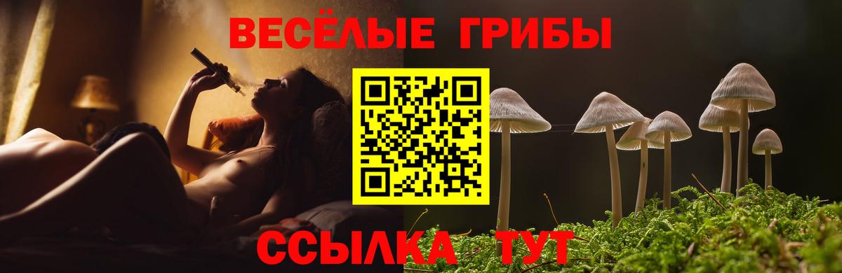 Галлюциногенные грибы GOLDEN TEACHER  Вход с VPN  Рославль  Галлюциногенные грибы мицелий 